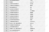 国产56页,揭秘中国自主研发的先进技术